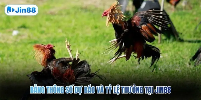 Đá Gà Thomo JIN88 – Quy Tụ 10+ Trận Đấu Mỗi Ngày - hình ảnh - jin88.gu.cc Đá Gà Thomo JIN88 – Quy Tụ 10+ Trận Đấu Mỗi Ngày - hình ảnh - jin88.gu.cc