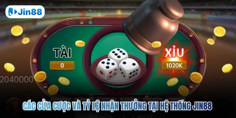Tài Xỉu JIN88 – Top 5 Bí Quyết Để Về Bờ An Toàn 2026 - hình ảnh - jin88.gu.cc Tài Xỉu JIN88 – Top 5 Bí Quyết Để Về Bờ An Toàn 2026 - hình ảnh - jin88.gu.cc