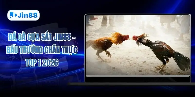 Đá gà JIN88 – jin88hvcam - hình ảnh - jin88.gu.cc