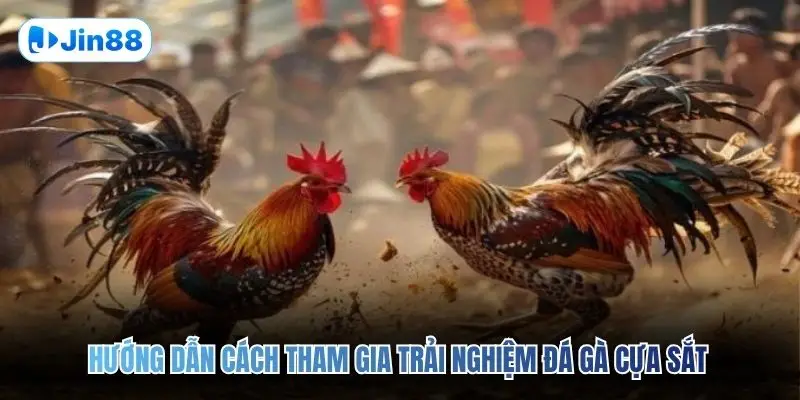 Đá Gà Cựa Sắt JIN88 – Đấu Trường Chân Thực Top 1 2026 - hình ảnh - jin88.gu.cc Đá Gà Cựa Sắt JIN88 – Đấu Trường Chân Thực Top 1 2026 - hình ảnh - jin88.gu.cc